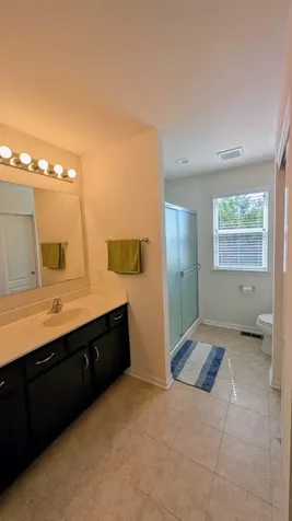 114 Gala Drive Mundelein IL 60060