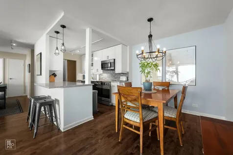 3930 North Pine Grove Avenue Chicago IL 60613
