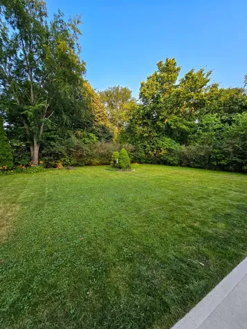 15821 South River Road Plainfield IL 60544