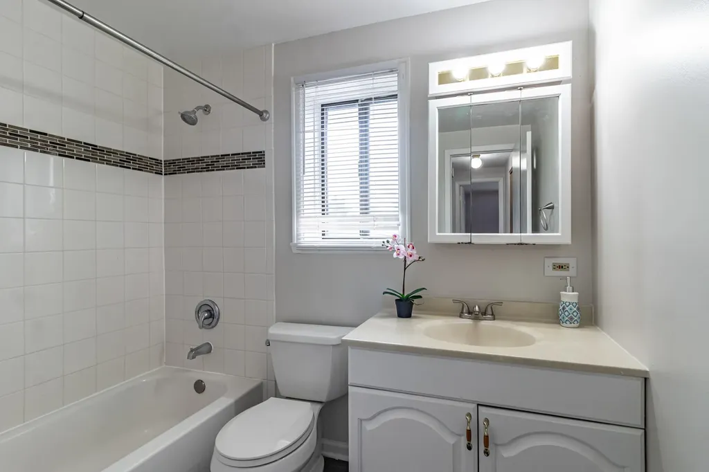 17 Dennis Court Schaumburg IL 60193