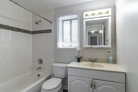17 Dennis Court Schaumburg IL 60193