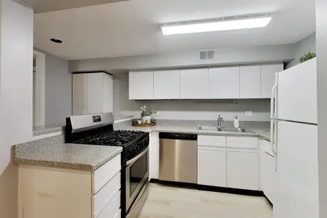 1528 West Wellington Avenue Chicago IL 60657