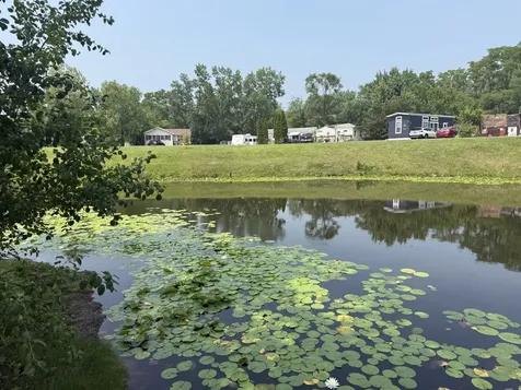 77 Dinosaur Road Wilmington IL 60481