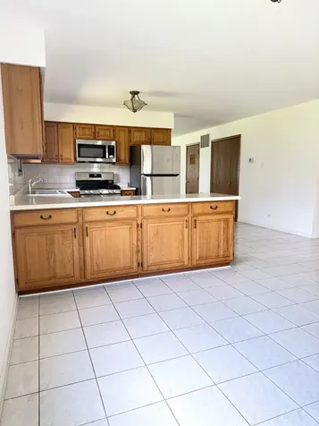 311 Dawn Court Bloomingdale IL 60108