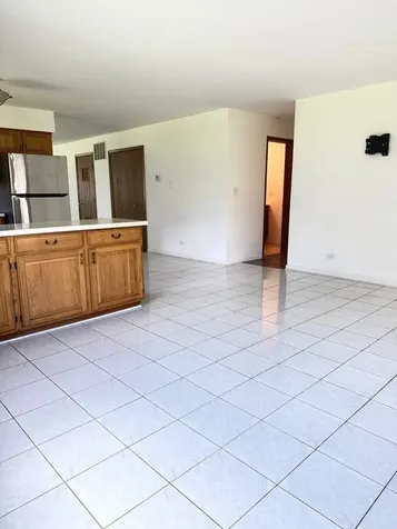 311 Dawn Court Bloomingdale IL 60108