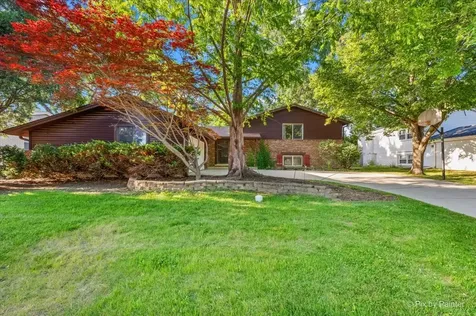 602 East Hackberry Drive Arlington Heights IL 60004