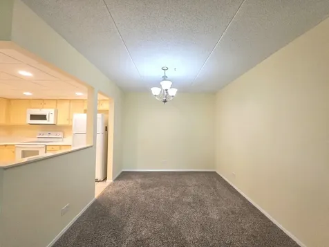 350 Plum Creek Drive Wheeling IL 60090