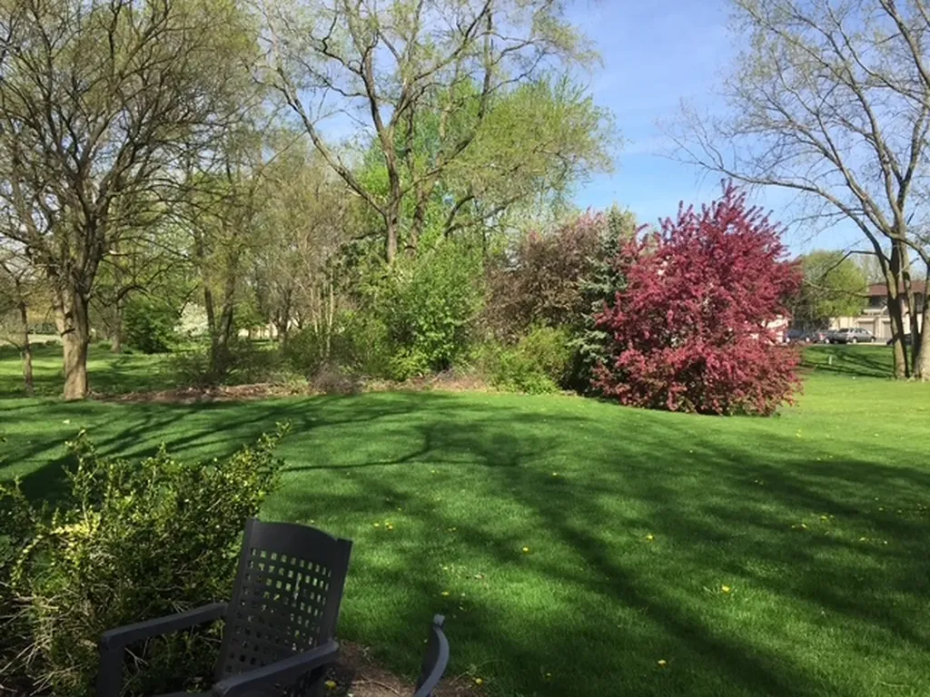 997 South Hampton Court Aurora IL 60506