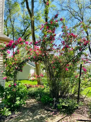 997 South Hampton Court Aurora IL 60506