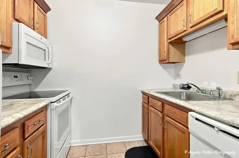 7323 Chevy Chase Court Fox Lake IL 60020