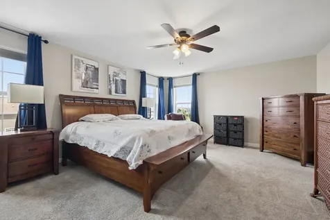 13824 Amelia Drive Lemont IL 60439
