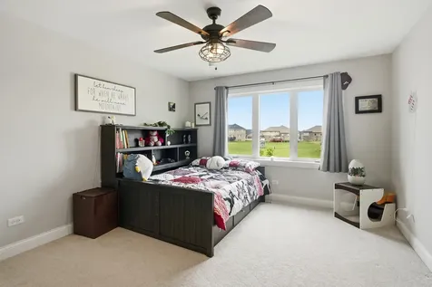 8279 Katie Lane Frankfort IL 60423