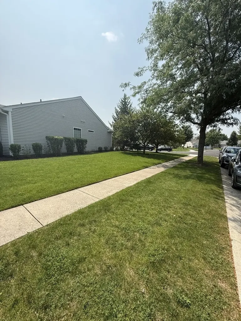 14082 Francesca Cove Huntley IL 60142