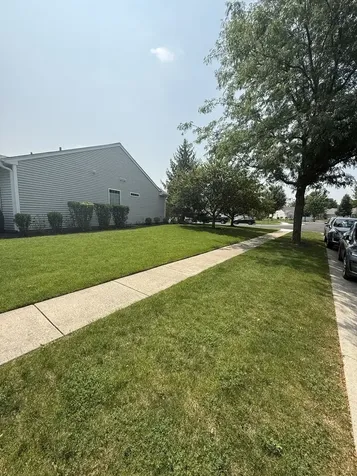14082 Francesca Cove Huntley IL 60142