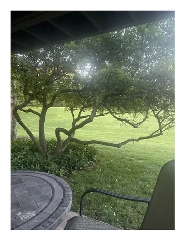 1249 Oak Hill Road Lake Barrington IL 60010