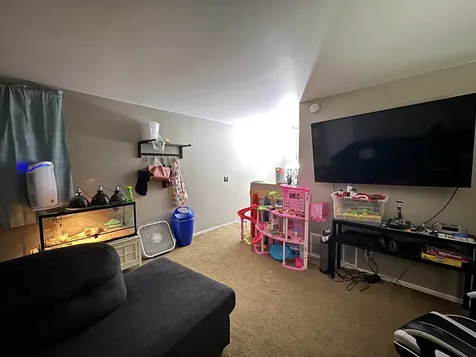 15 Curtmar Court Montgomery IL 60538