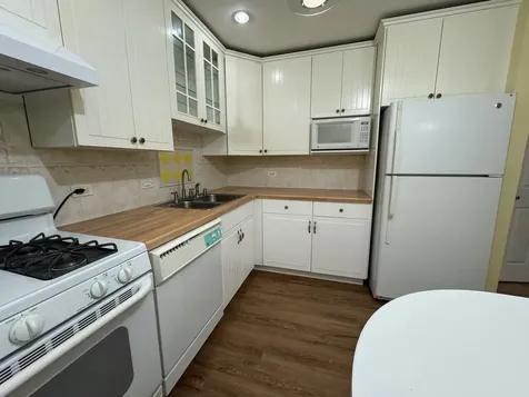1133 Miller Lane Buffalo Grove IL 60089