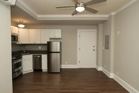 817 West Lakeside Place Chicago IL 60640