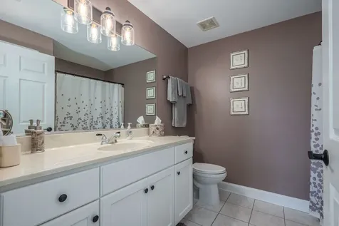 6299 Misty Pines Court Tinley Park IL 60477