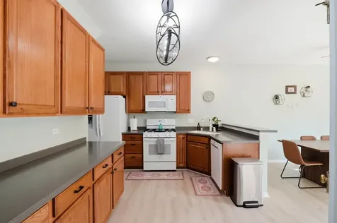 317 North Patriot Drive Hainesville IL 60030