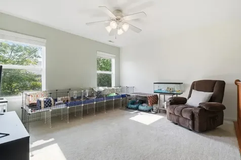 317 North Patriot Drive Hainesville IL 60030