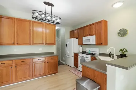317 North Patriot Drive Hainesville IL 60030