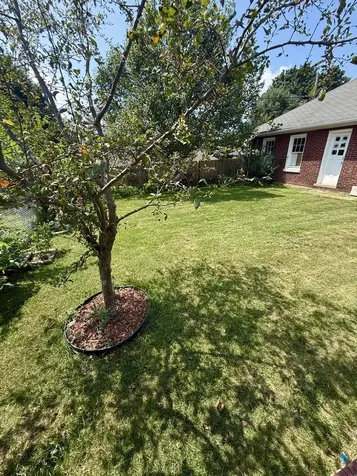 186 North Du Bois Avenue Elgin IL 60123