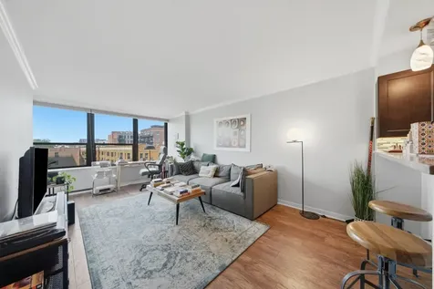 1560 North Sandburg Terrace Chicago IL 60610