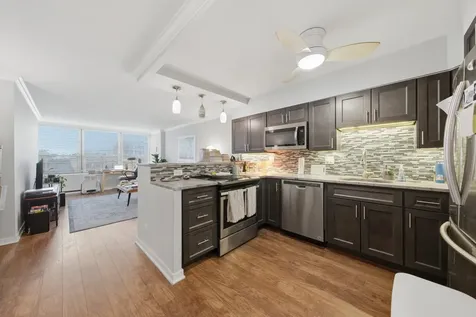 1560 North Sandburg Terrace Chicago IL 60610