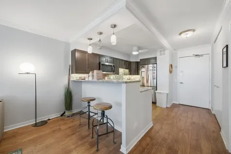1560 North Sandburg Terrace Chicago IL 60610