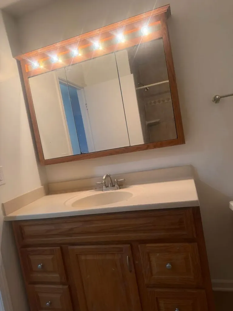 327 Wildberry Court Schaumburg IL 60193