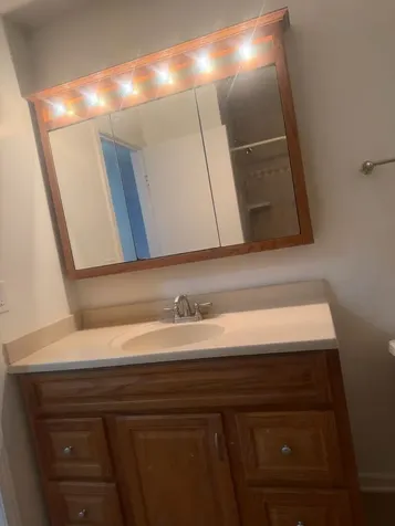 327 Wildberry Court Schaumburg IL 60193