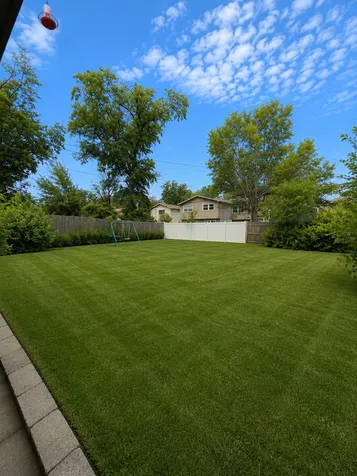17730 Cherrywood Lane Homewood IL 60430