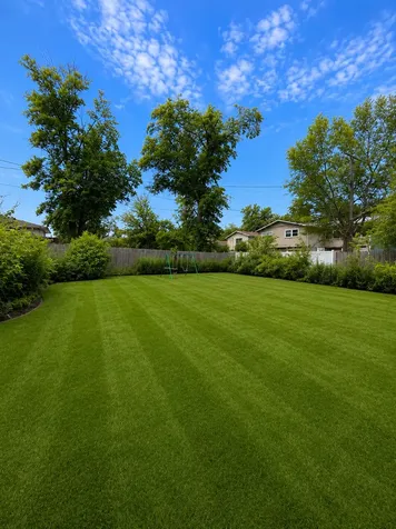 17730 Cherrywood Lane Homewood IL 60430