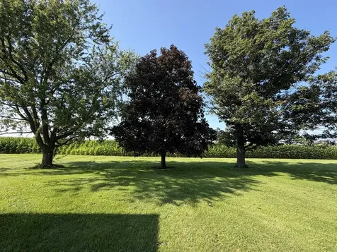 503 North State Street Bellflower IL 62174