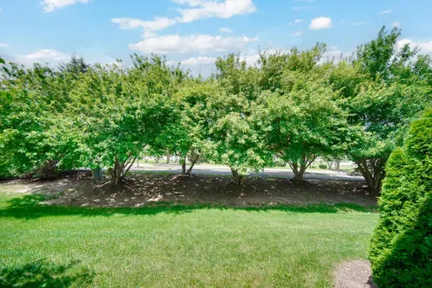 1115 Goldfinch Avenue Yorkville IL 60560