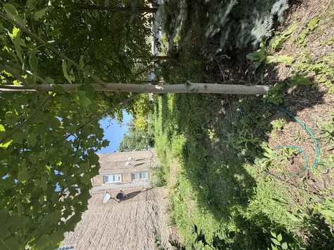 1449 South Spaulding Avenue Chicago IL 60623