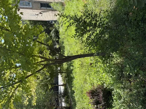 1449 South Spaulding Avenue Chicago IL 60623