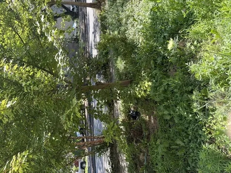 1449 South Spaulding Avenue Chicago IL 60623