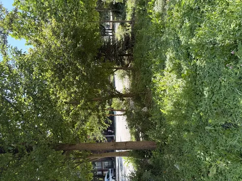 1449 South Spaulding Avenue Chicago IL 60623