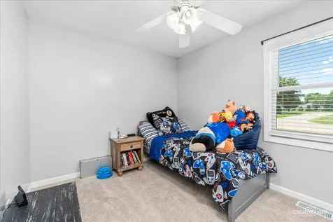 1030 Suzy Street Lake Holiday IL 60548