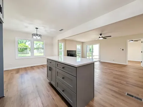 217 Tamarack Drive Bloomingdale IL 60108