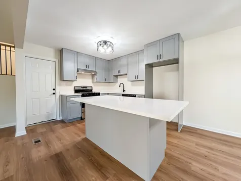217 Tamarack Drive Bloomingdale IL 60108