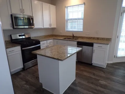 1645 West Turtle Creek Lane Round Lake IL 60073