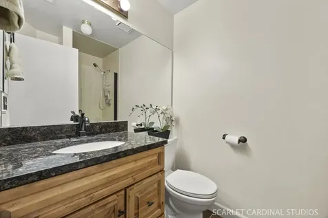 594 Elizabeth Drive Wood Dale IL 60191