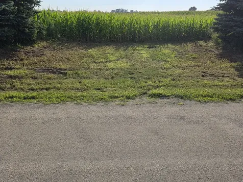 0000 North 8000w Road Bonfield IL 60913