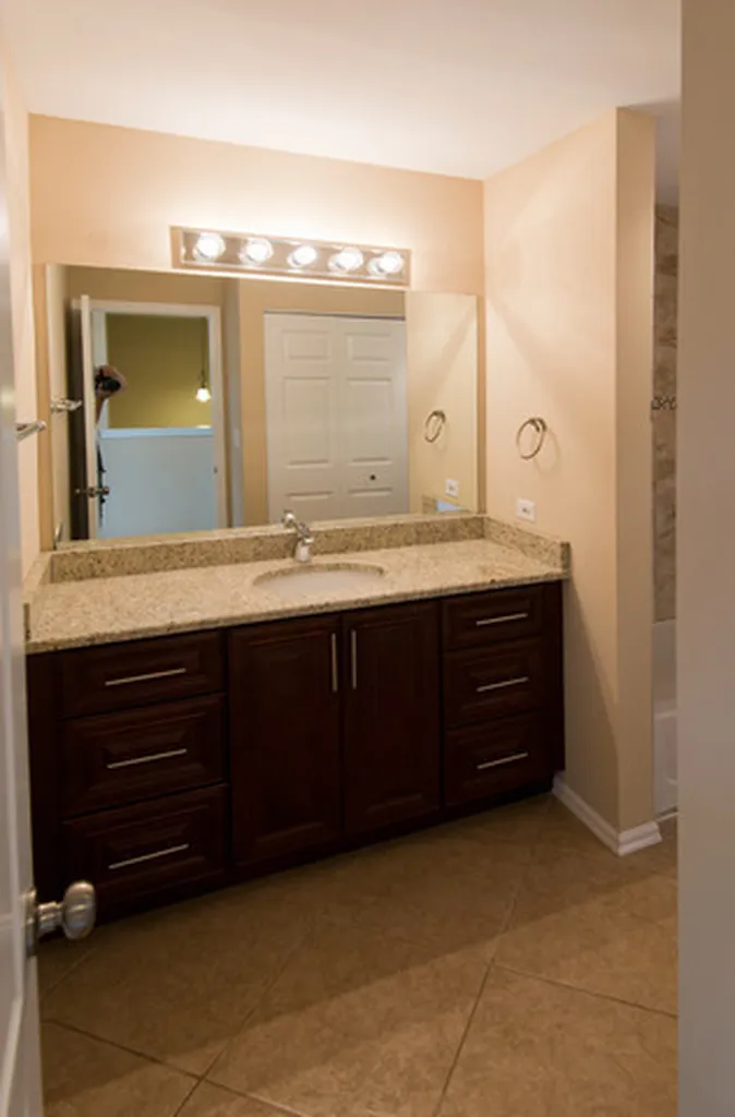 2927 White Thorn Circle Naperville IL 60564