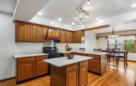 117 Kent Avenue Wauconda IL 60084