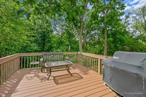 8043 Sierra Woods Lane Carpentersville IL 60110