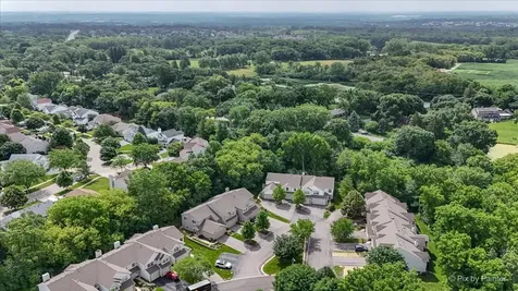 8043 Sierra Woods Lane Carpentersville IL 60110